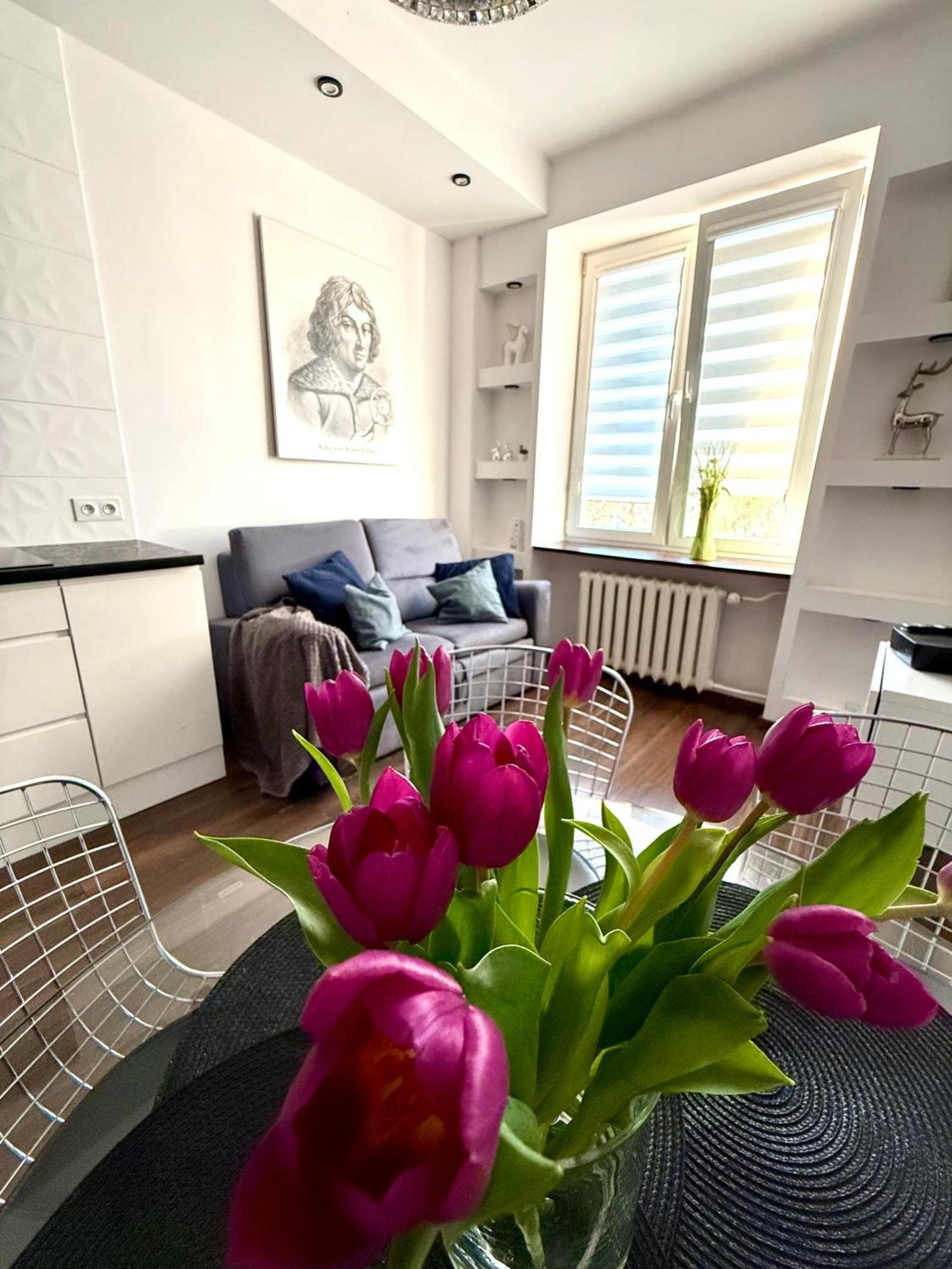 Space 2 Center Apartament